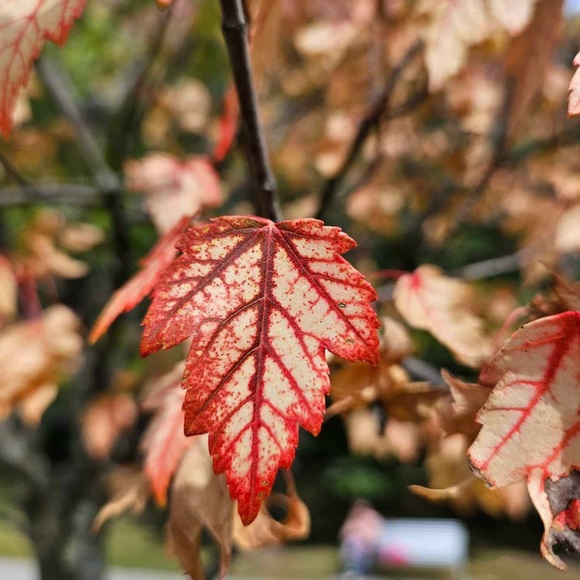 Meet your Posher, Justine - Picture 1 of 1